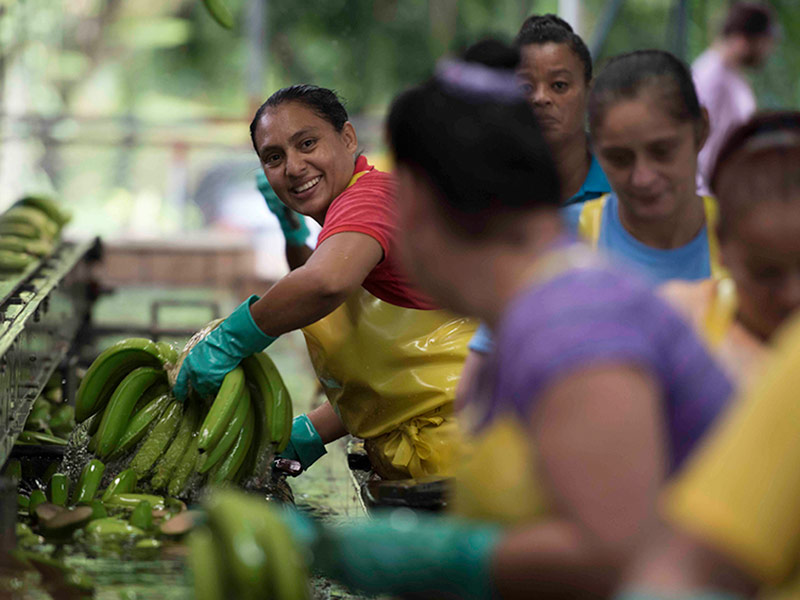 Empowering Women Fruit Farmers with Digital Training thumbnail image