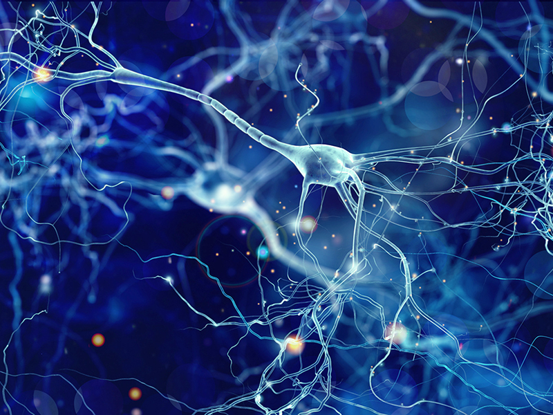 How Advances in Neurotech Will Impact Human Rights thumbnail image